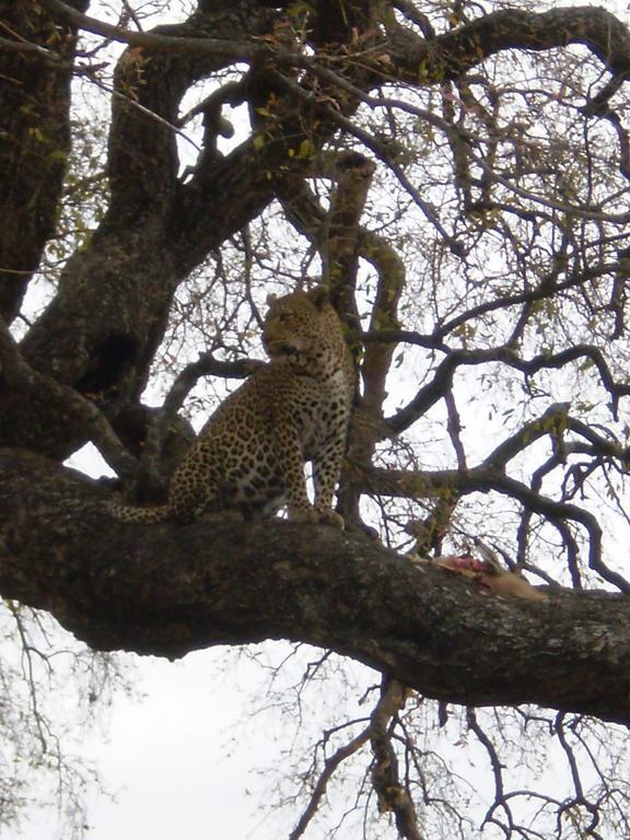 Manzini River House - Mjejane Private Game Reserve, Greater Kruger National Park Hectorspruit Exterior photo